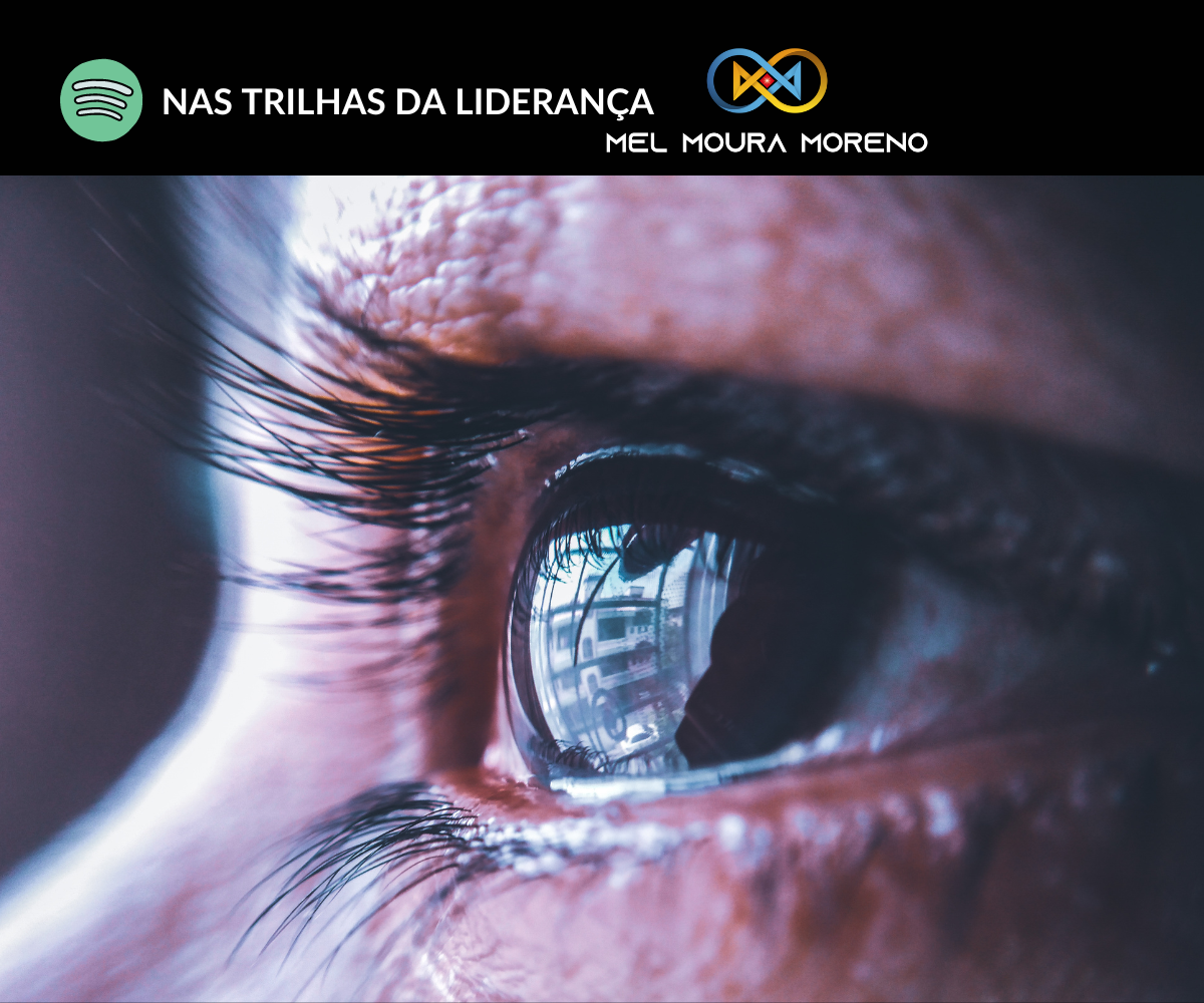 Leia mais sobre o artigo T1/E1 Metáfora Magnética – A VIDRAÇA